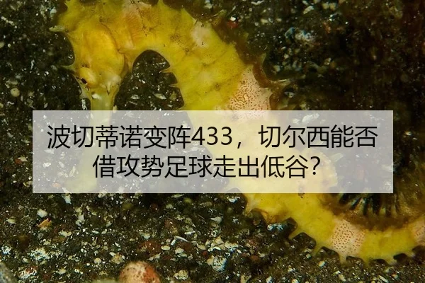 bo-qie-di-nuo-bian-zhen-qie-er-xi-neng-fou-jie-gong-shi-zu-qiu-zou-chu-di-gu-1-232.jpg